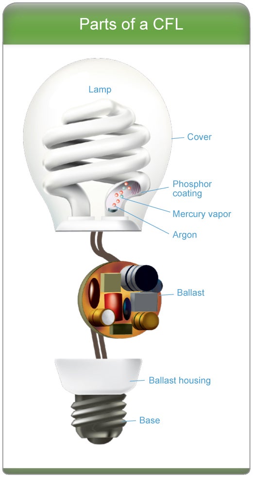 parts_of_cfl_large.jpg